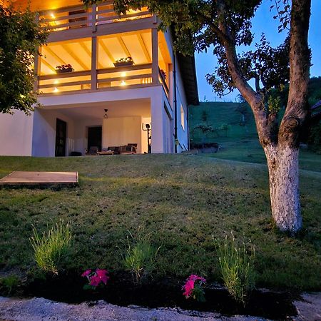 Hotel Casa Mara Vişeu de Sus Zewnętrze zdjęcie