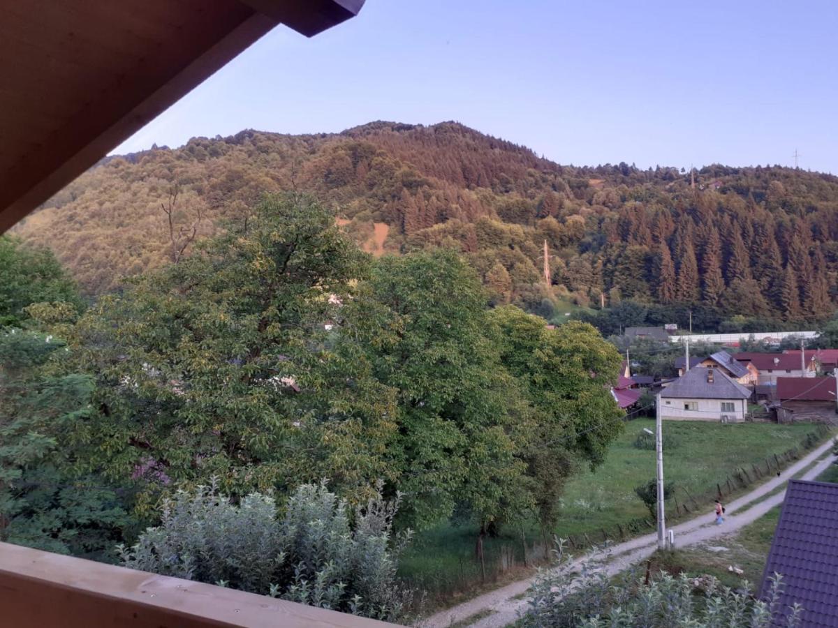 Hotel Casa Mara Vişeu de Sus Zewnętrze zdjęcie