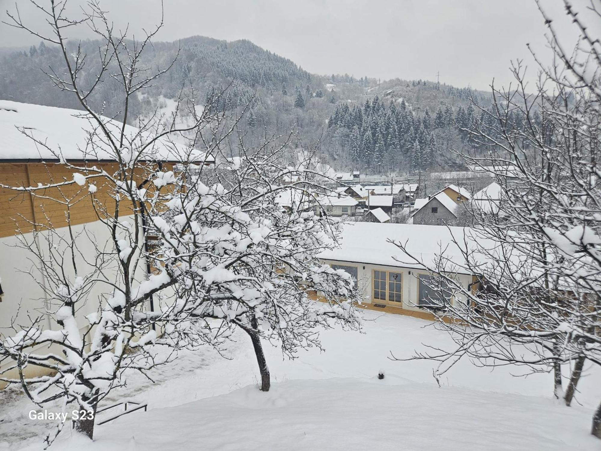 Hotel Casa Mara Vişeu de Sus Zewnętrze zdjęcie