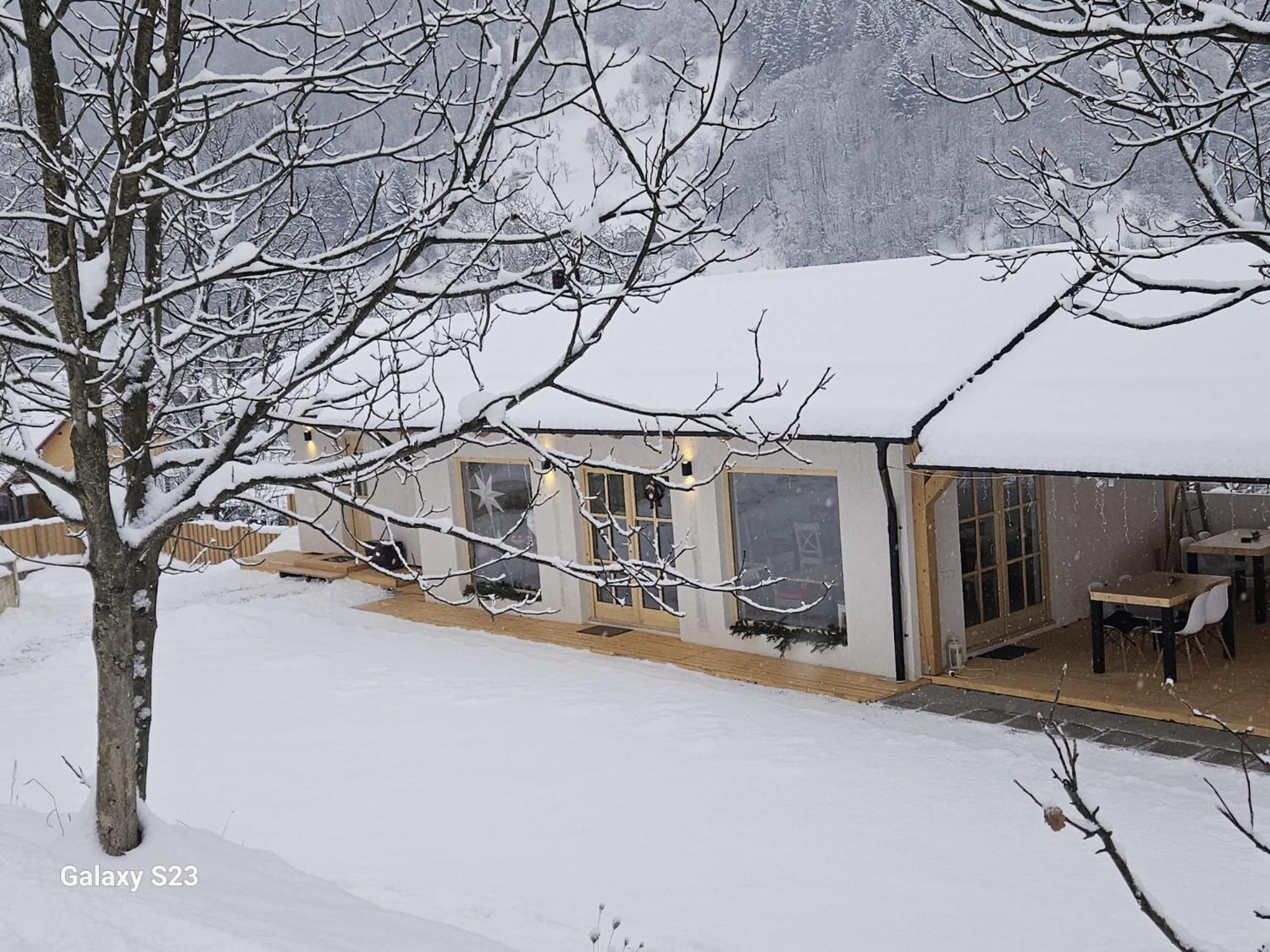 Hotel Casa Mara Vişeu de Sus Zewnętrze zdjęcie