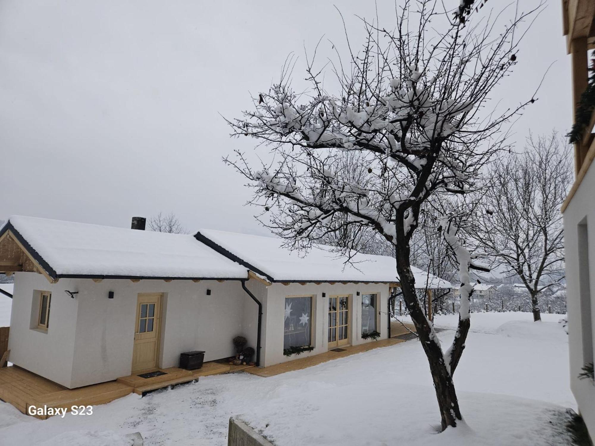 Hotel Casa Mara Vişeu de Sus Zewnętrze zdjęcie