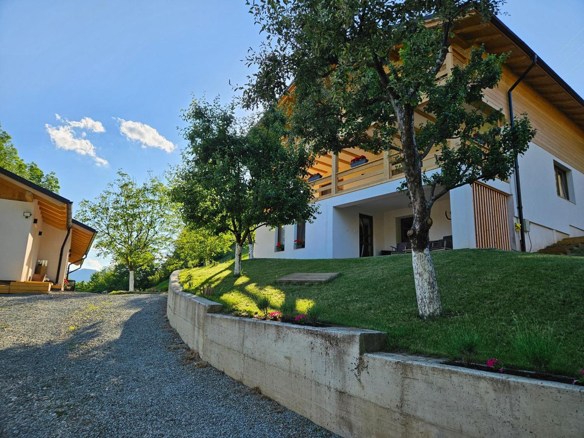 Hotel Casa Mara Vişeu de Sus Zewnętrze zdjęcie